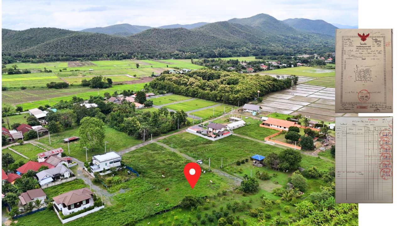 ที่ดินร้องวัวแดง 181 ตร.ว.