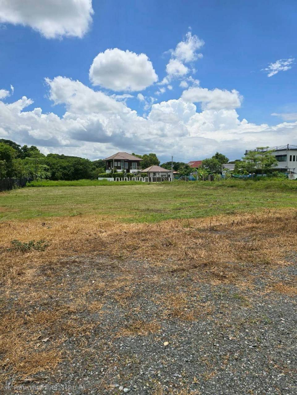 ที่ดินร้องวัวแดง 181 ตร.ว. รูป 8