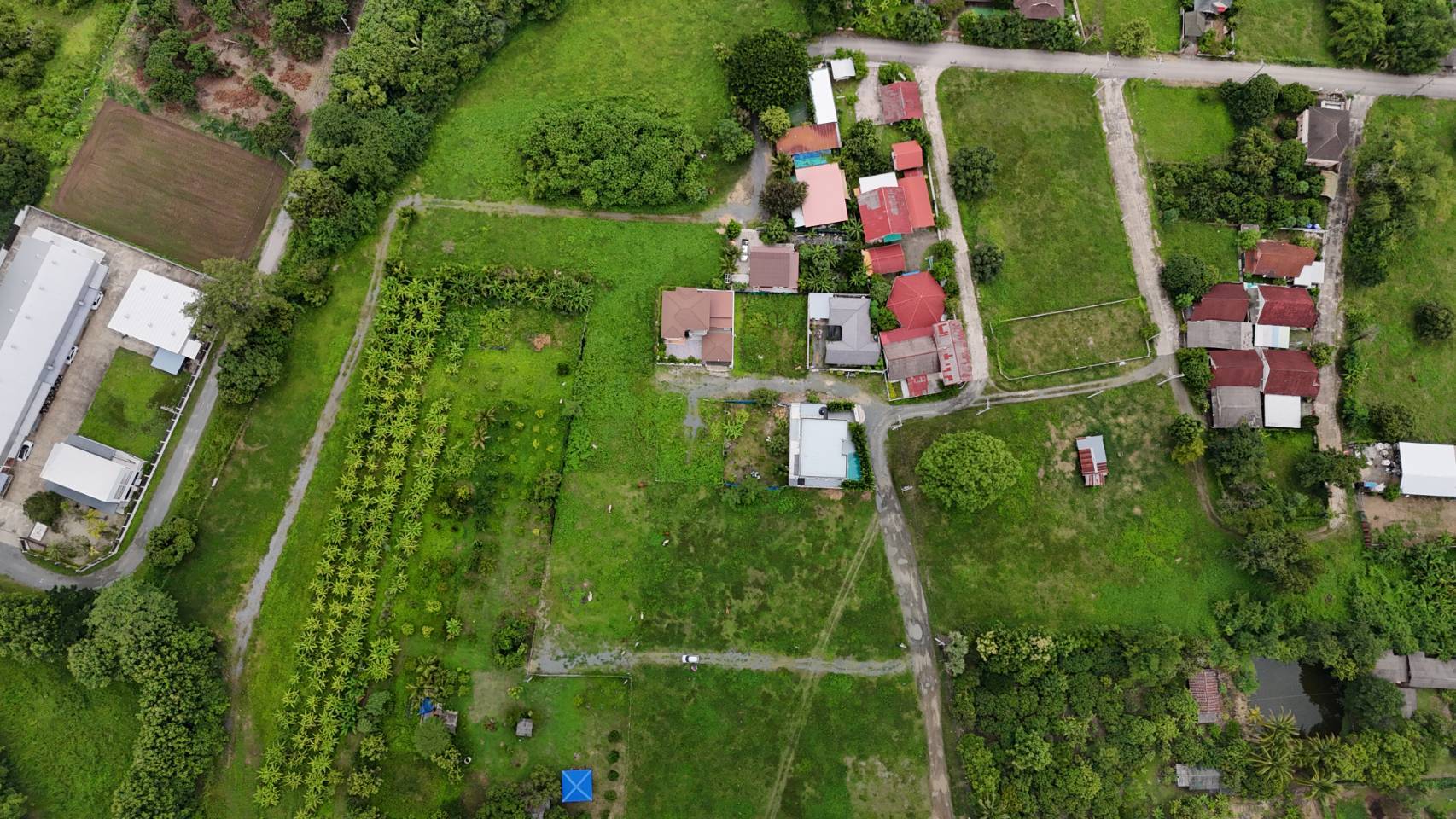 ที่ดินร้องวัวแดง 181 ตร.ว. รูป 4