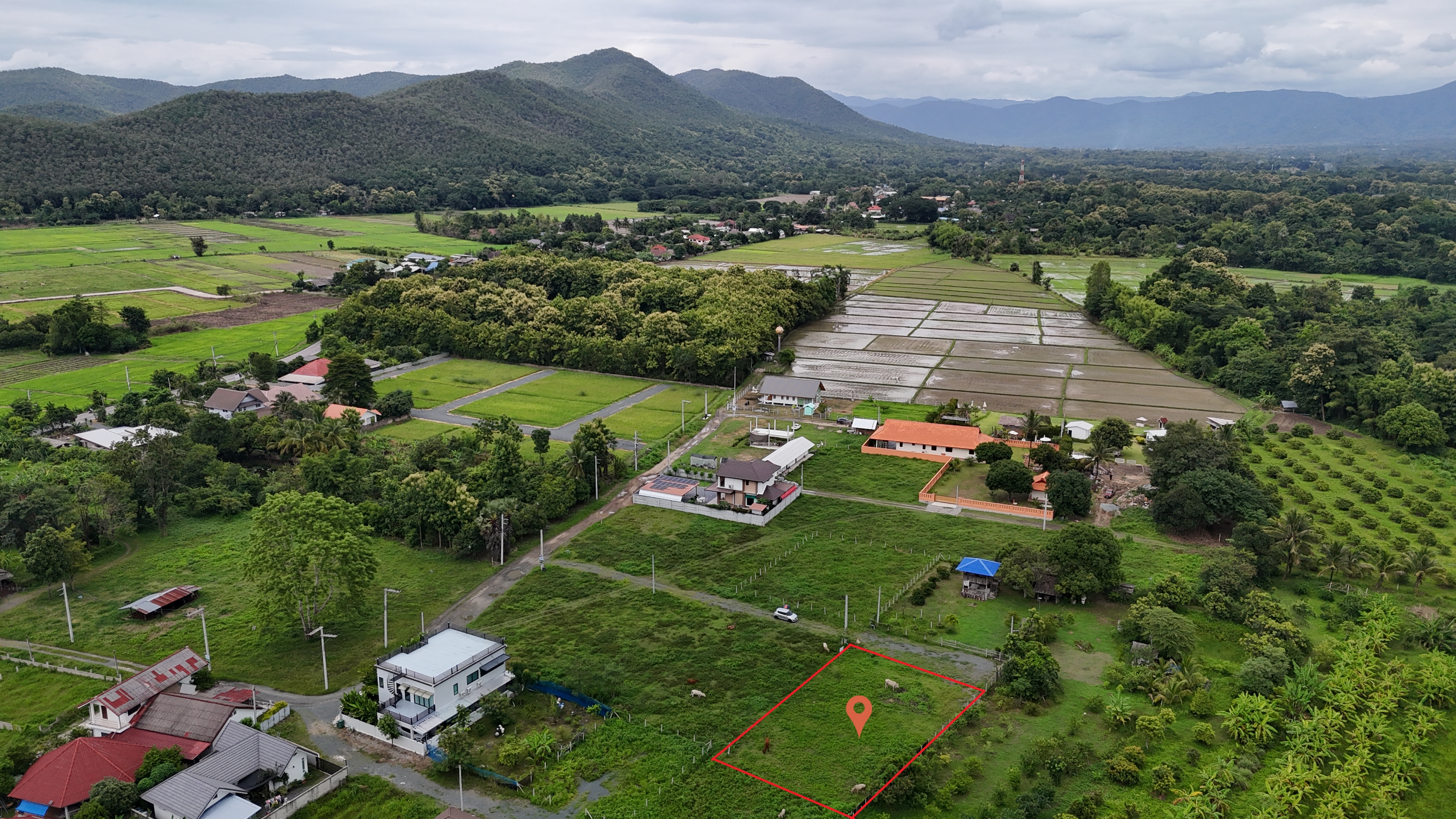 ที่ดินร้องวัวแดง 181 ตร.ว. รูป 7