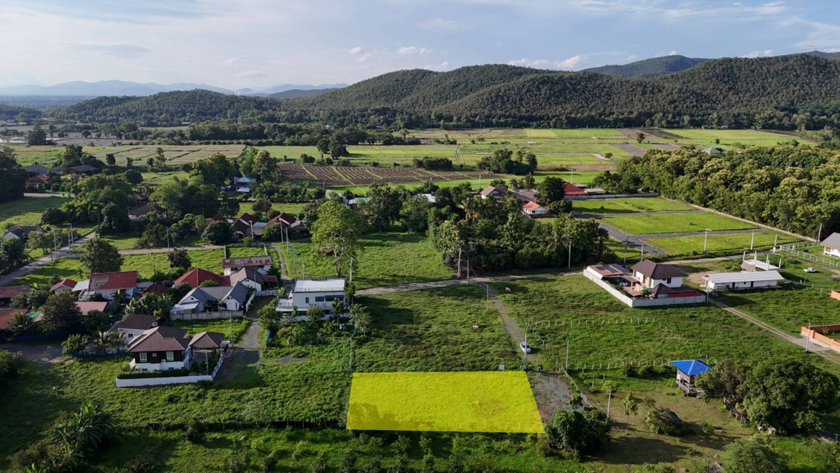 ที่ดินร้องวัวแดง 181 ตร.ว. รูป 2